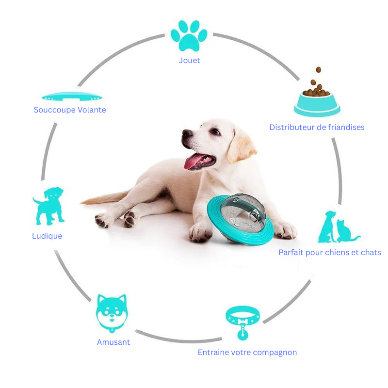 Jouet interactif pour chien , pratique et résistant , idéal pour votre compagnon a 4 pattes !